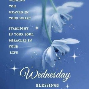 Meet your Posher, Marion